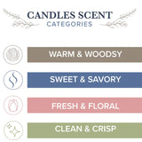 Vanilla Pumpkin: Wood Wick Soy Candle