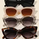 CAT EYE ACETATE SUNGLASSES SET